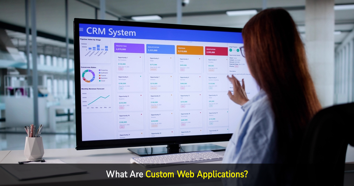 what are custom web applications