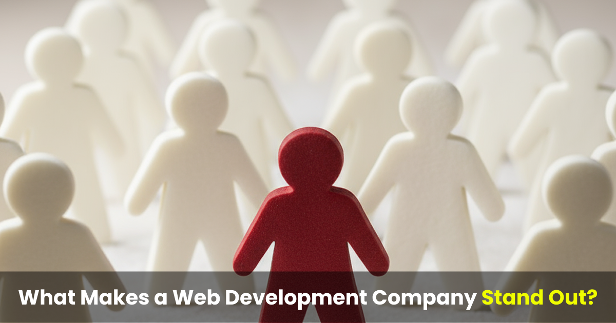 what makes a web development company stand out