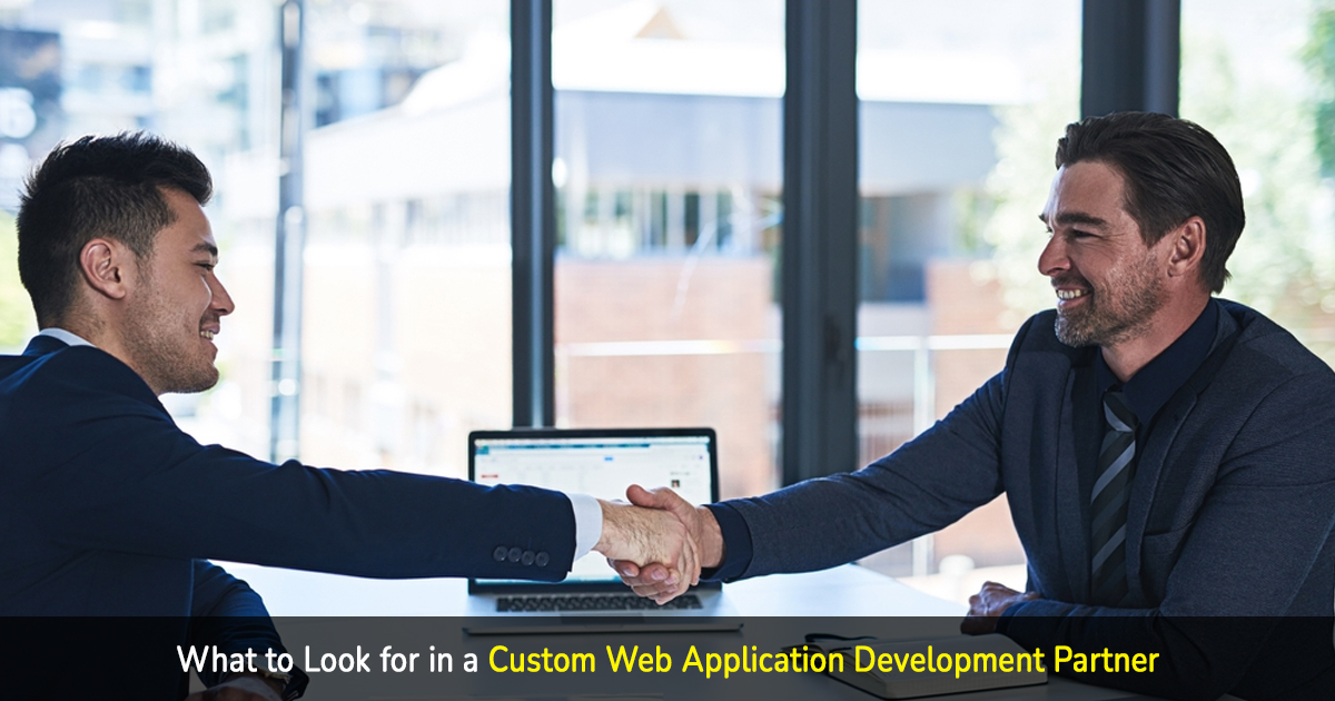 what to look for in a custom web application development partner